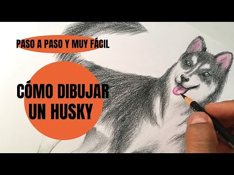 Te digo Cómo Dibujar Un Perro husky realista Paso a Paso ¡Muy fácil!