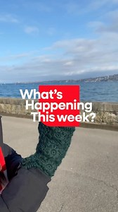 Geneva Graduate Institute on Reels