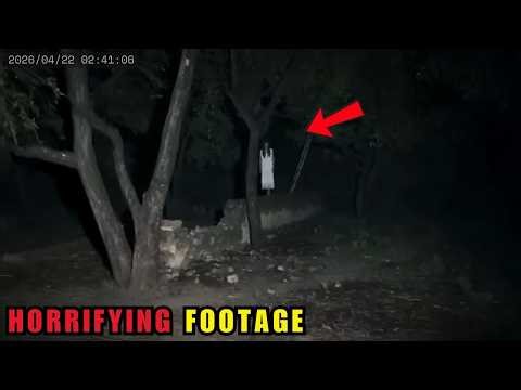 38 MOST DISTURBING Wilderness Encounters Caught on Camera