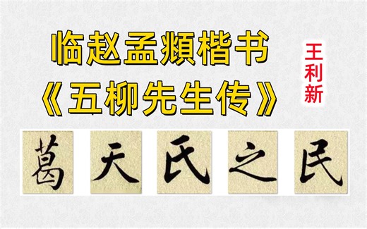 第46集 赵孟頫楷书《五柳先生传》王利新毛笔字书法练习临贴