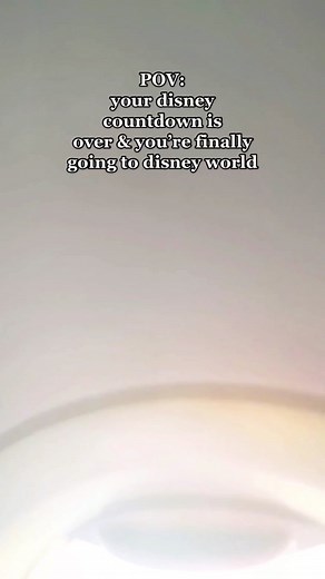 how many days left on your countdown?? #disneycountdown #disney #disneyparks #disneyworld #disneypov #disneytrip #wdw
