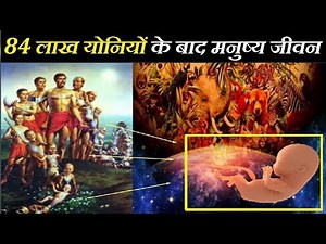 क्या सच में 84 लाख योनियों के बाद मिलता है मनुष्य जीवन, जानिए क्या कहते हैं पुराण | DR KATHA SAGAR