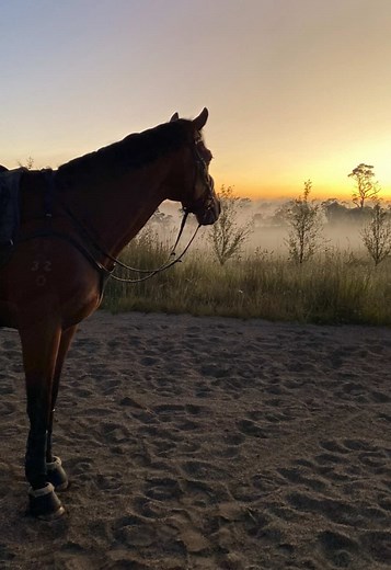 Struggling with Short Boots and Chaps in Equestrian Life