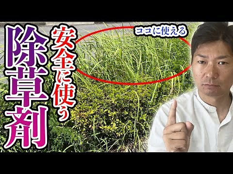 How to safely use herbicides on weeds growing in plantings [Gardener explains]
