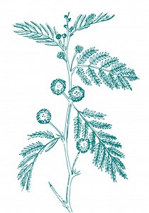 Professional Postpartum Training — Newborn Mothers