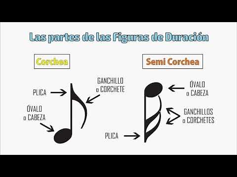 07 Partes de las Figuras Musicales - Cómo leer las notas musicales