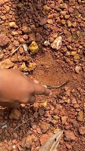 How many subscribers do we get in this video I will dig that much time #dig #diggers