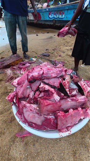 Sovereign Blue Marlin Butchery