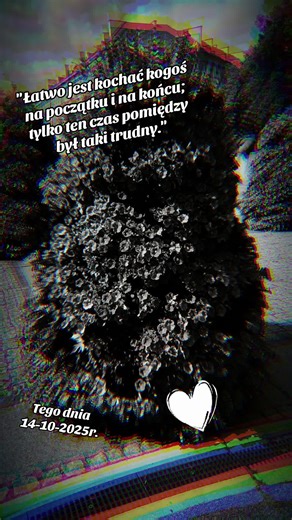 Filmy użytkownika Vel Alex (@vel.alex) z muzyką dźwięk oryginalny - Sweet Music