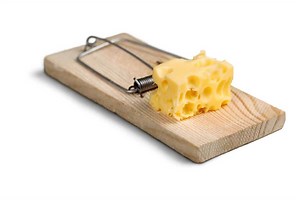 Do Mouse Traps Hurt Humans? What You Need To Know - Pest Control IQ