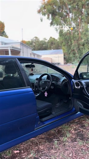 Commodore VZ: A Western Australia Tribute