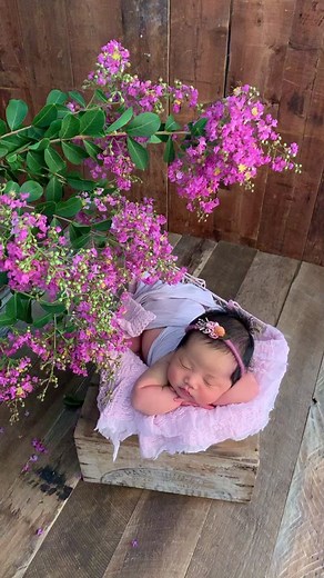 #newnorn #photoshoot #newbornphotography #cutebaby #babygirl #babylove #babyfever #babytiktok #babyphotoshoot