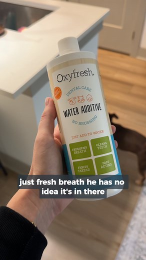 Is doggy breath dampening your cuddle time? Learn how Oxyfresh Dog Dental Water Additive is reinventing dental care for dogs and making fresh breath a reality. | Oxyfresh