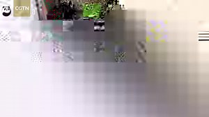 728K views · 10K reactions | Even when seven panda cubs are being put to bed separately, they just can't stop playing and trying to get out of their boxes! | CGTN | Facebook