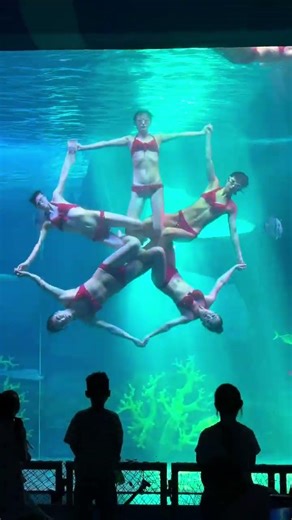 Ballet underwater, amazing diving dance show 美到窒息，水下芭蕾表演 #dance #ballet #aquarium #中国 #中國 #mermaid