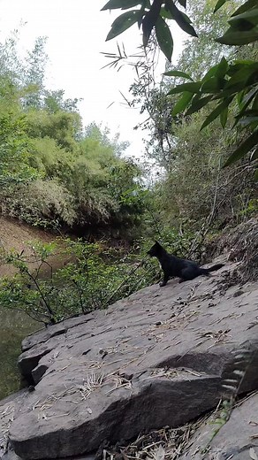 5.4K views · 80 reactions | Natural Life on Reels | Facebook