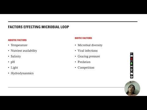 Microbial loop- CHETHANA K A