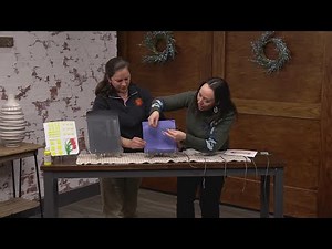 Why Are Birds Flying Into Your Windows and How to Stop it?