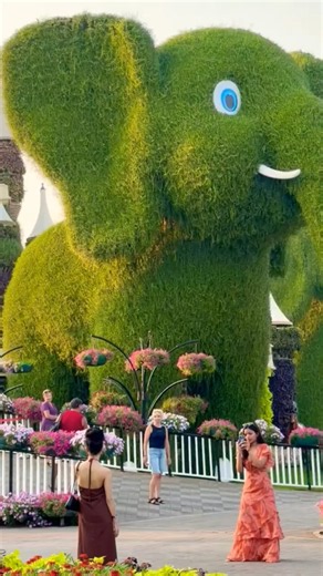 🌷 The Most Colorful Garden You'll Ever See | Dubai Miracle Garden 4K Walk #dubai #miraclegarden #wow