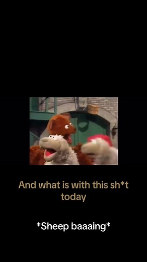 Baby Bear Sleeping Again on Sesame Street