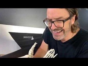 TALUS Talar Mobilisation Technique for Ankle Therapy and Rehab