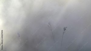 People in uniform on background of military hand grenade explosion in forest. Impact strength and power of airsoft guns.