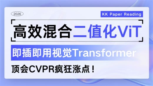高效混合二值化ViT：即插即用视觉Transformer，顶会CVPR疯狂涨点！