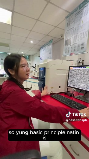 Scanning Electron Microscope Basic Principles