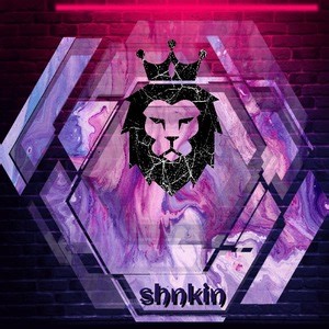 shenkin_gamer - Twitch