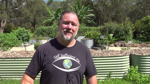 My vegetable garden plan for the new growing season