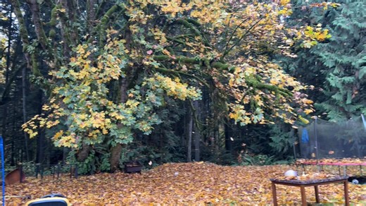 Great Motorcycle rides: Washington on Reels