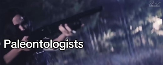 We don’t know where bats came from, they just sort of appeared in the fossil record being able to fly #fyp #paleontology #paleontologymemes #fossils #extinctanimals