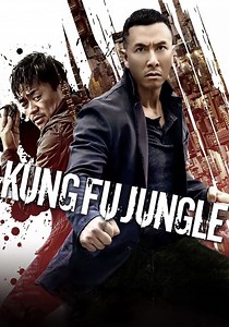 Kung Fu Jungle streaming: where to watch online?