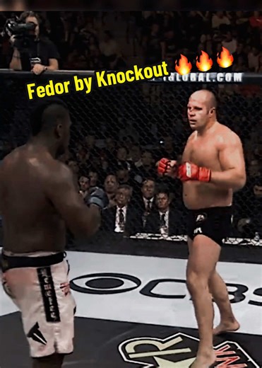 Fedor Emelianenko's Epic Knockout Highlights