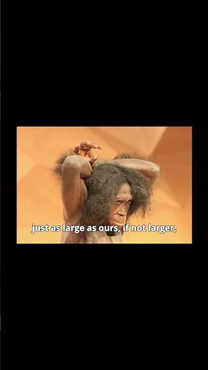 Who Were the Neanderthals and What Happened to Them?