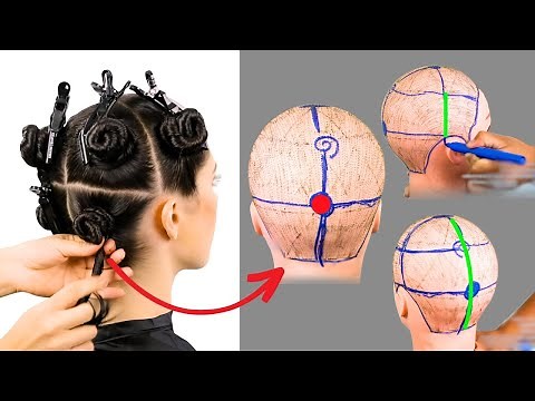 How to Divide Hair | Parts and Sections of the Head