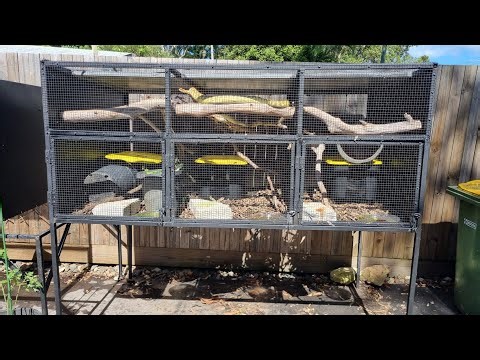 Outdoor python enclosures