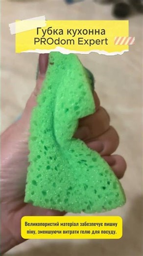 Губка кухонна PROdom Expert Арт 39866
