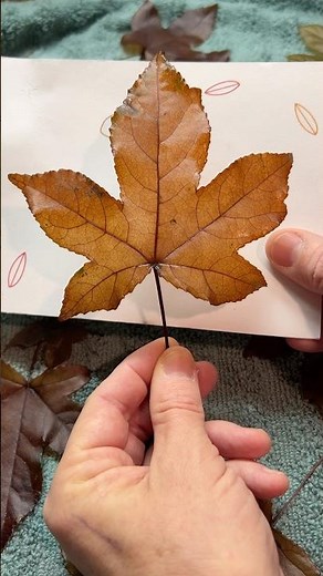 Easy Preserved Leaves! 🍁 - details in description