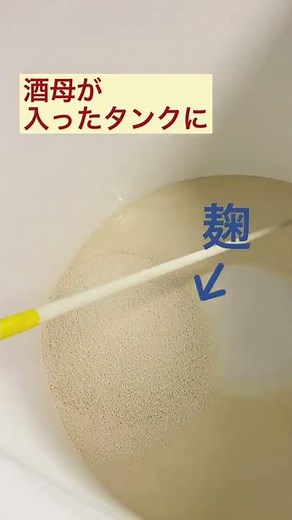 日本酒の造り方 もろみ