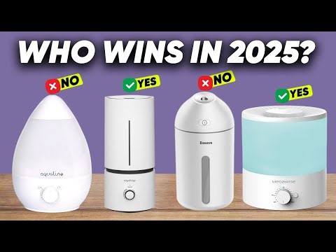 Best Mini Humidifier 2025 | Top 5 Portable & Compact Picks