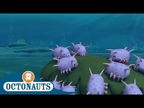 Octonauts - Sea Pigs in Danger! | Cartoons for Kids | Underwater Sea Education