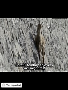 Appreciating Tomboys: A Relatable Tribute