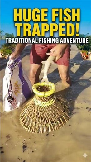 Huge Fish Caught on Pole Fishing | Insane Catch! #fishing #fish #pringruralfisherman #usfishing