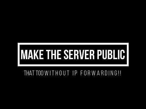 How to host a public Minecraft server on your pc (without Ip Forwarding)