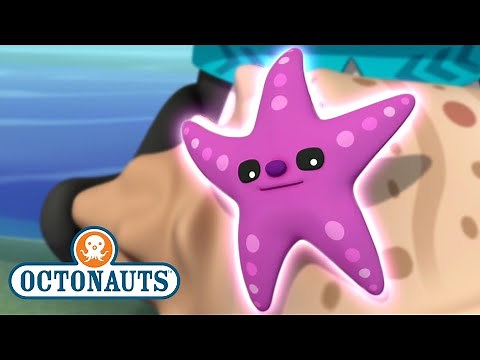 ‪@Octonauts‬ - The Lost Sea Star | Full Episode 32 | ‪@Kidzuko‬