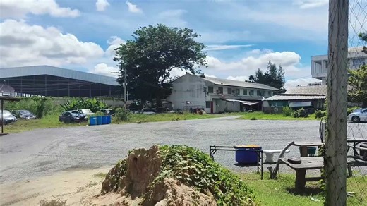 Monkeys run riot as they escape from shelter in notorious Thai town