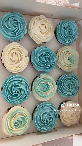 Sugarbloom on TikTok