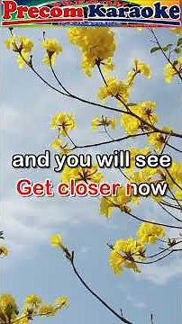 There's A Kind of Hush, Karaoke version #shortvideo #precomkaraoke