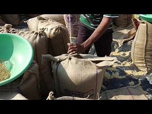 Manually Sewing Rice Bag